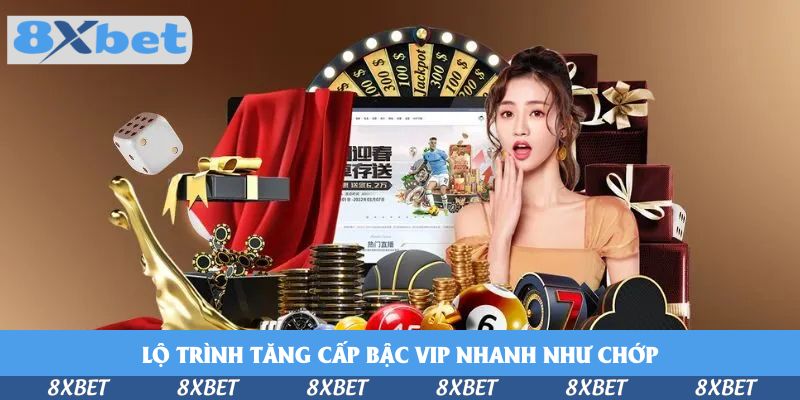 Lộ trình tăng cấp bậc VIP nhanh như chớp